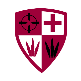 -Ins3ctinho-'s emblem