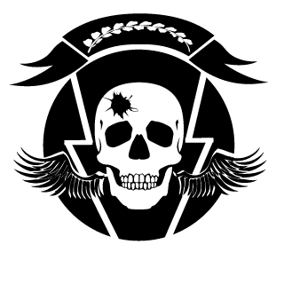 Domestos313's emblem