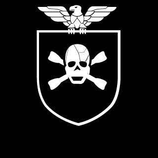 Black_Beans_579's emblem
