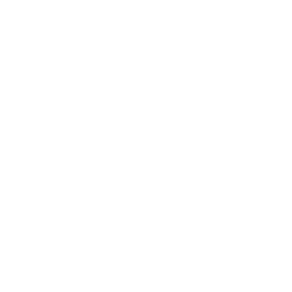 danil_sneg's emblem