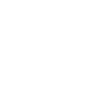16SLOW16's emblem