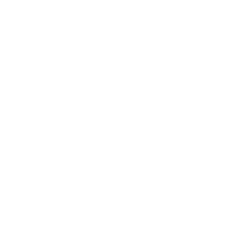 B1ackCross's emblem