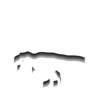 stiftler's emblem