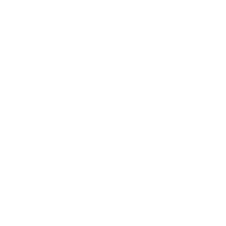 Antoxin713's emblem