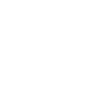 KAEPS133's emblem
