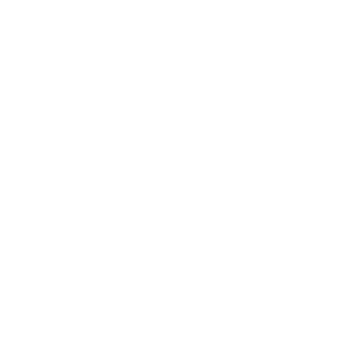 Npx-Ray's emblem