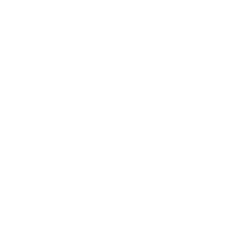 iw-rs-br's emblem