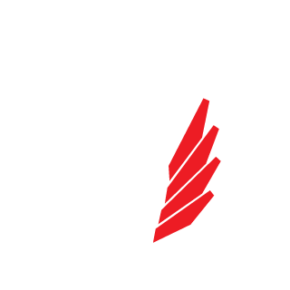 m33amkii's emblem