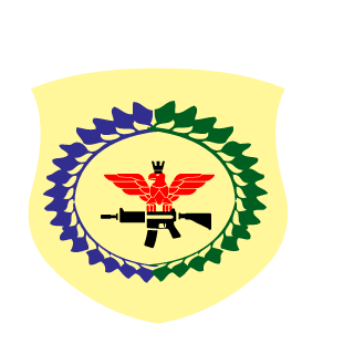 mykyta_ckci's emblem