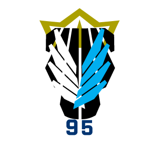 ShadowBlueRaven's emblem