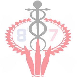 onigirimaruu's emblem