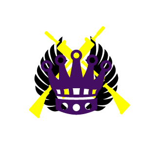 StarEnigma's emblem