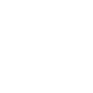 S4ngin's emblem