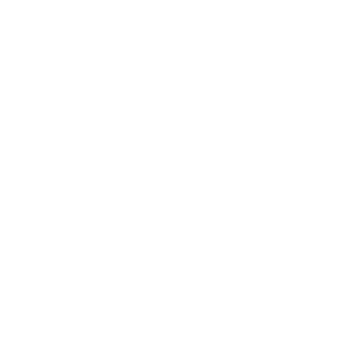 overlord313's emblem