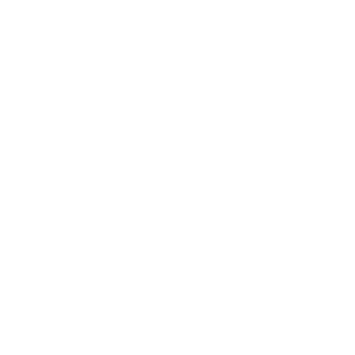 SUSANIN_88's emblem