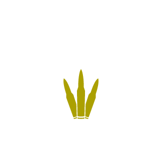 241aa8aea06a677d's emblem