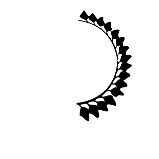 MatheusPicole's emblem