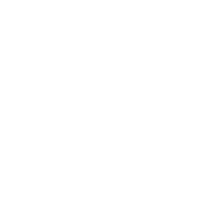 The_Comandos35's emblem