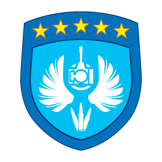 Spark-NF's emblem