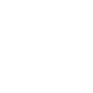 DHG_Terminator9's emblem