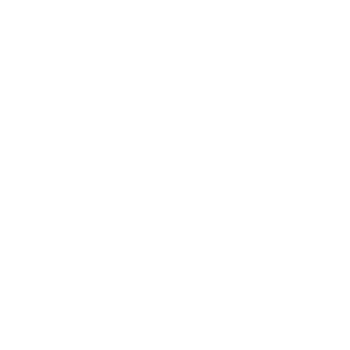 NSFV-DyZeraA's emblem