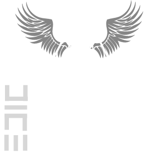 Dima55567890's emblem