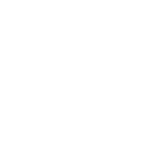 Nash2Time's emblem