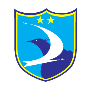 SEONGHWAN ROKAF's emblem