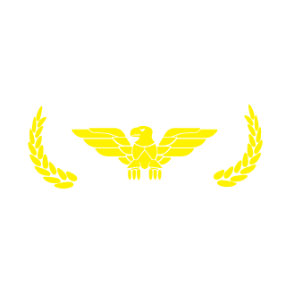 WoikPL's emblem