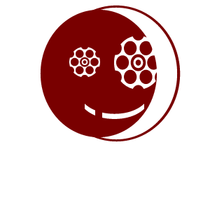 VixiLZeeD_jp's emblem