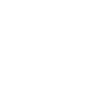 Bull3tEmpire's emblem