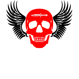 SkrokuJunior's emblem
