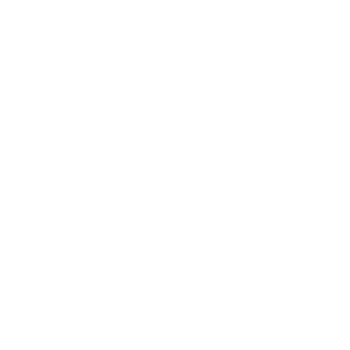 TerminadorTR's emblem
