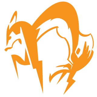 TurboPuns21's emblem
