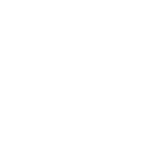 Brutalizersword's emblem