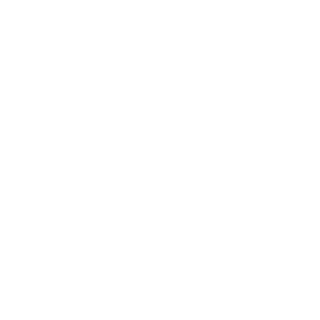 Torinlb6's emblem