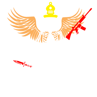 NIAKA249's emblem