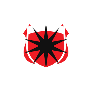 EtNoooo's emblem
