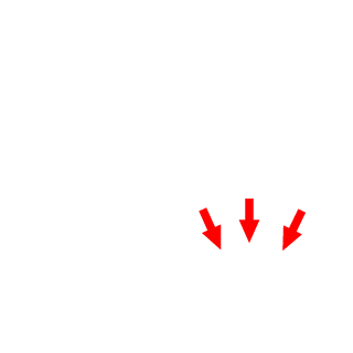 hunterchase3's emblem