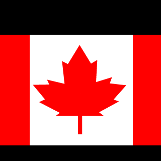 X8 SUPERIOR 8X's emblem