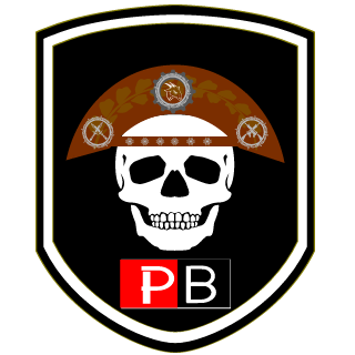 VaqueiroDoSertao's emblem