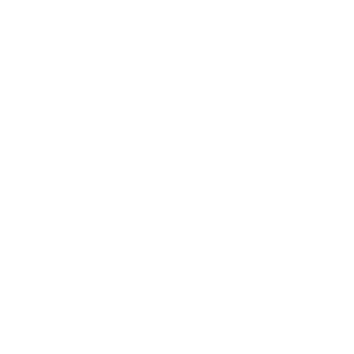 eightisland0921's emblem