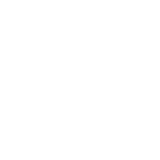 mirillisaction's emblem