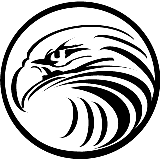 Beyond zFALCON's emblem