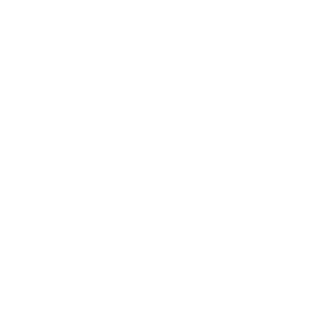 SoLt0's emblem