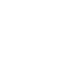 NyI0n's emblem