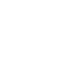 1989kalic's emblem