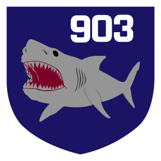 chaotic903's emblem