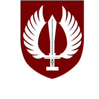 BLAZ3R666's emblem