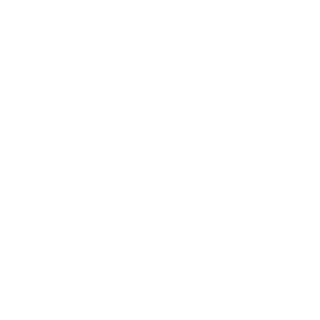 AKIMBOGUNNER98's emblem